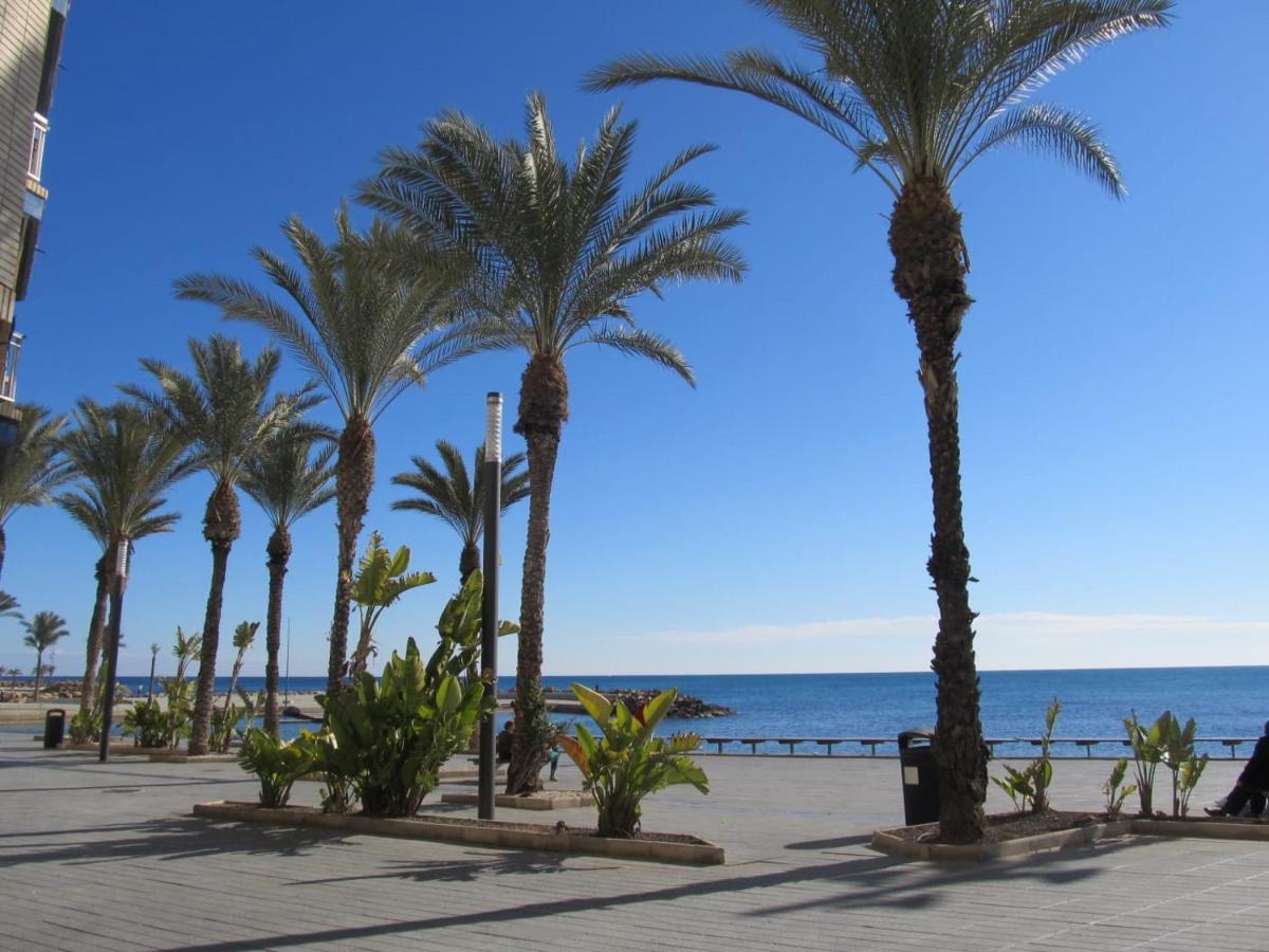 Tango Mango Apartment! Plaza 5 Min, Basen! Torrevieja Eksteriør bilde