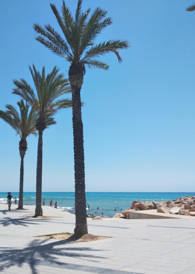 Tango Mango Apartment! Plaza 5 Min, Basen! Torrevieja Eksteriør bilde